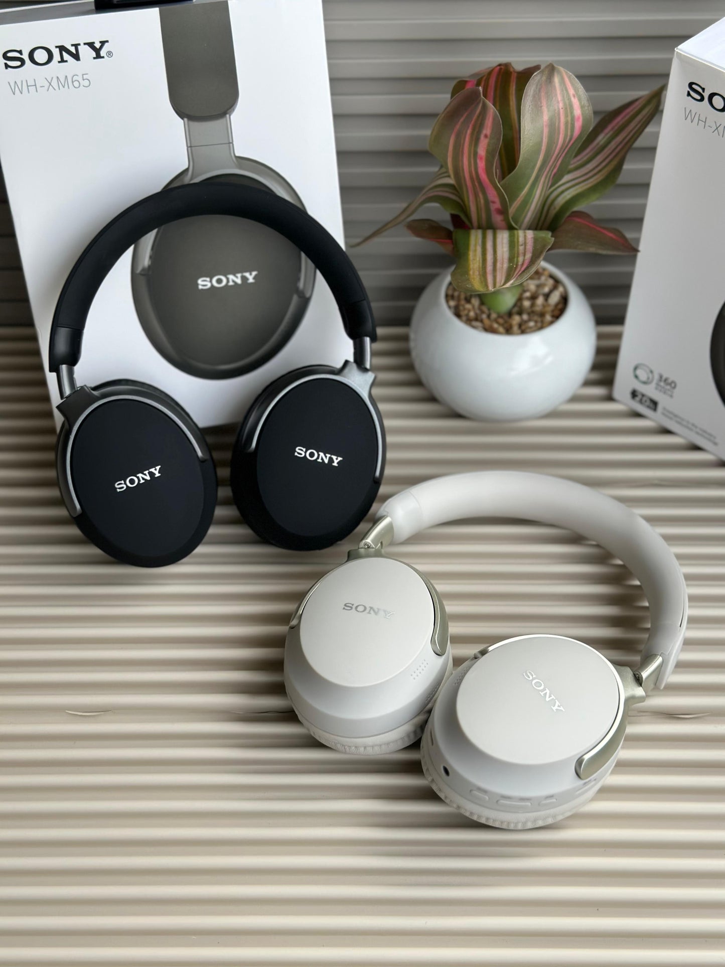 SONY WH-XM65
